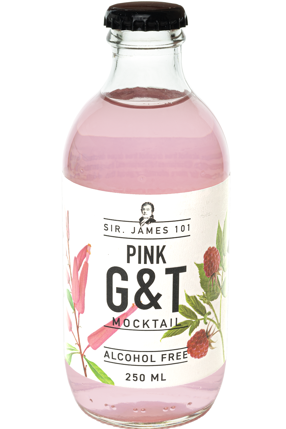 SIR JAMES 101 PINK G&T NON-ALC 0% 25cl