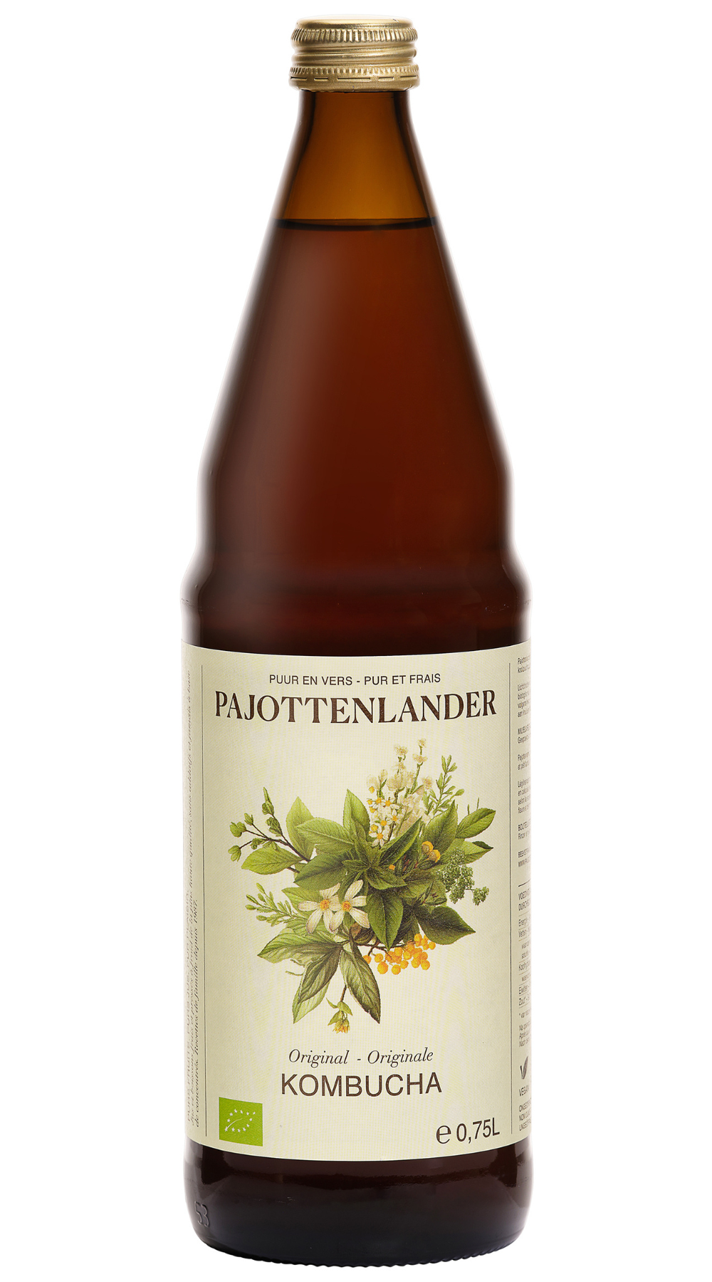 PAJOTTENLANDER KOMBUCHA LIMOEN/GEMBER BI
