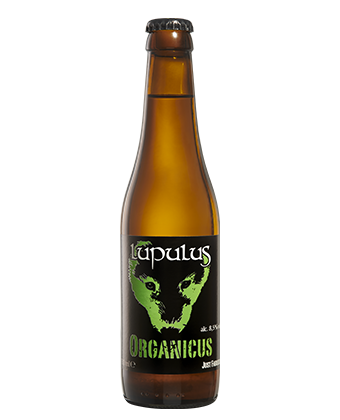 lupulus BIO organicus 8.5% 33cl