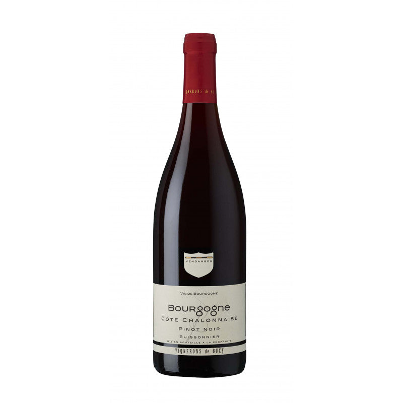 PINOT NOIR- Buissonnier- Côtes Chalonnaise