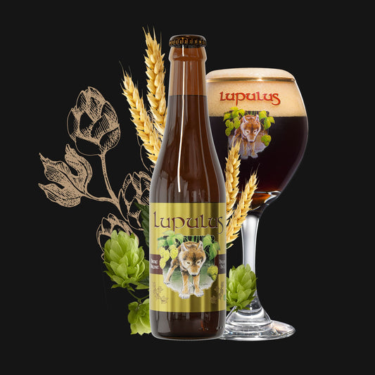 Lupulus BIO BRUIN 8.5% 33cl