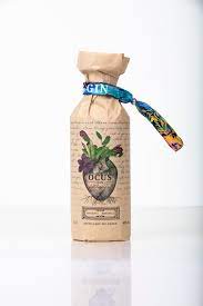 GIN OCUS BIO 40% 50cl WILDEREN